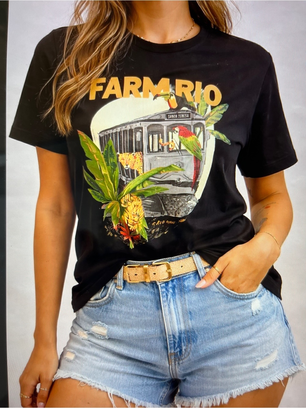 FARM RIO Black Graphic Tee with Tropical Train and Parrot